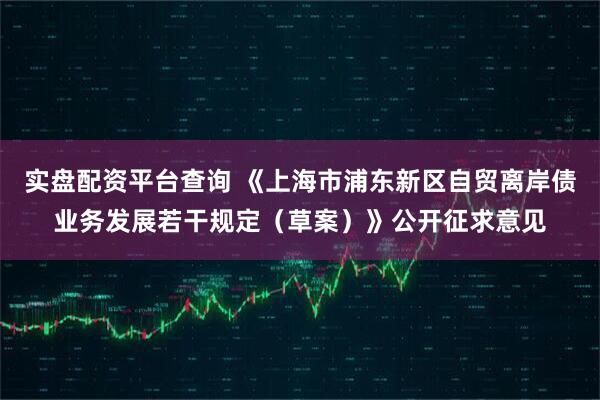 实盘配资平台查询 《上海市浦东新区自贸离岸债业务发展若干规定（草案）》公开征求意见