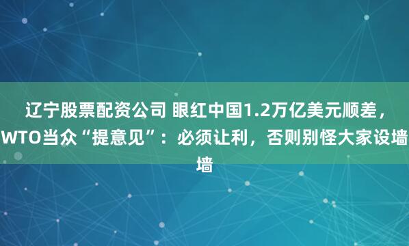 辽宁股票配资公司 眼红中国1.2万亿美元顺差，WTO当众“提意见”：必须让利，否则别怪大家设墙